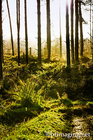 Photography stranraer south west Scotland, Freelance photography