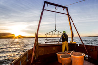 Oyster Fishing