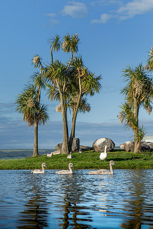Agnew Park Stranraer